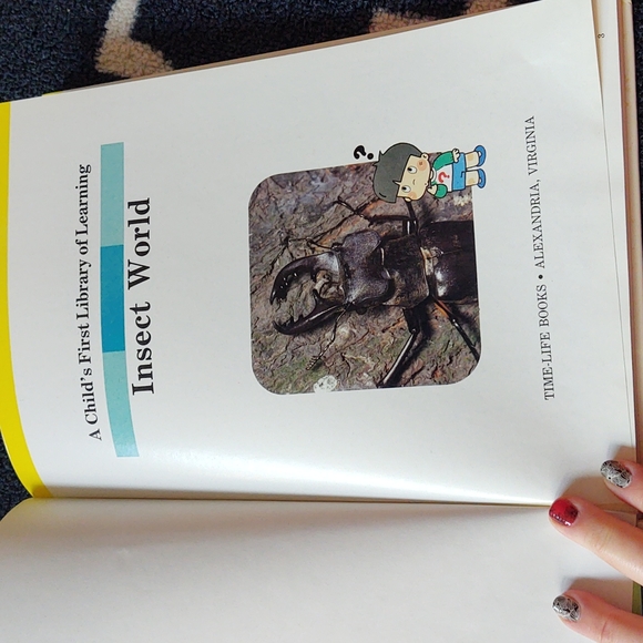 Time-Life A Child's First Library of Learning - Insect World Book - 1988 - Picture 4 of 12